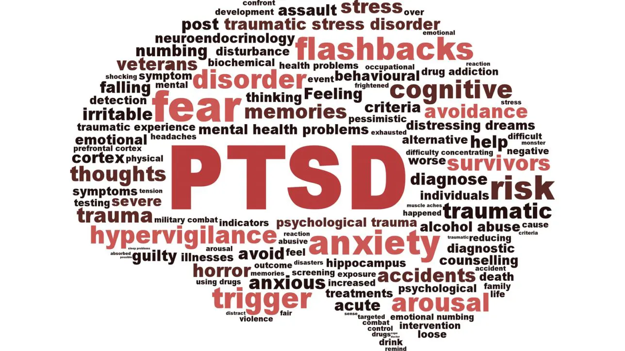 Post Traumatic Stress Disorder and the Endocannabinoid System