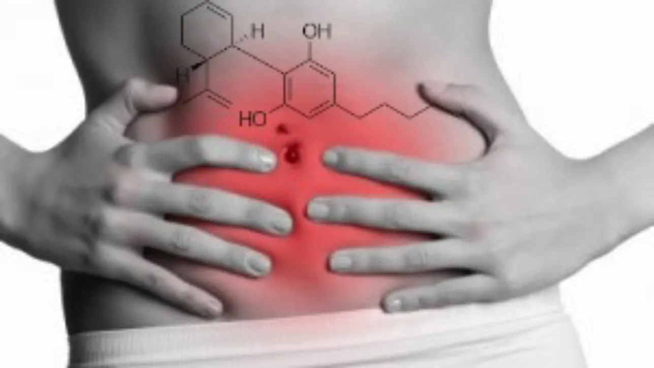 Leaky Gut Syndrome: Cannabinoids and the Endocannabinoid System (ECS) as a therapeutic target