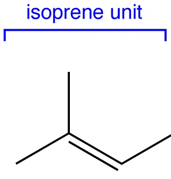 Isoprene unit diagram