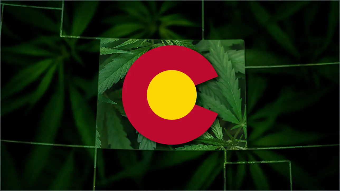 What to know about Colorado’s new hemp regulations: we’ve got you covered