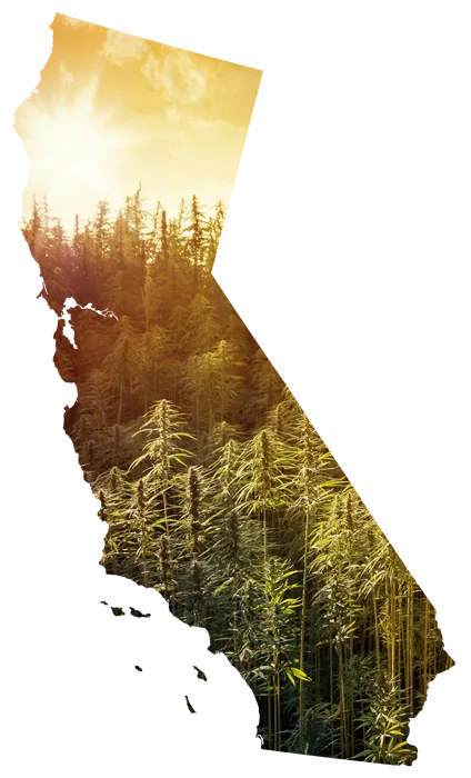California map with hemp masked