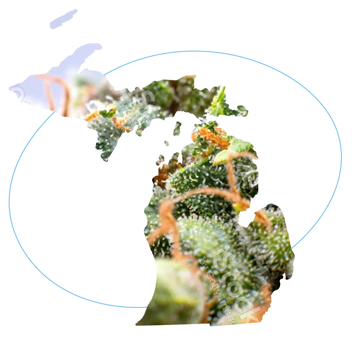 Michigan Cannabis Compliance Testing SC Labs