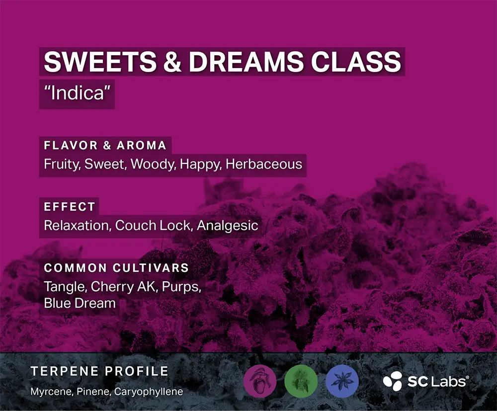Terpene Class: Sweets & Dreams | SC Labs
