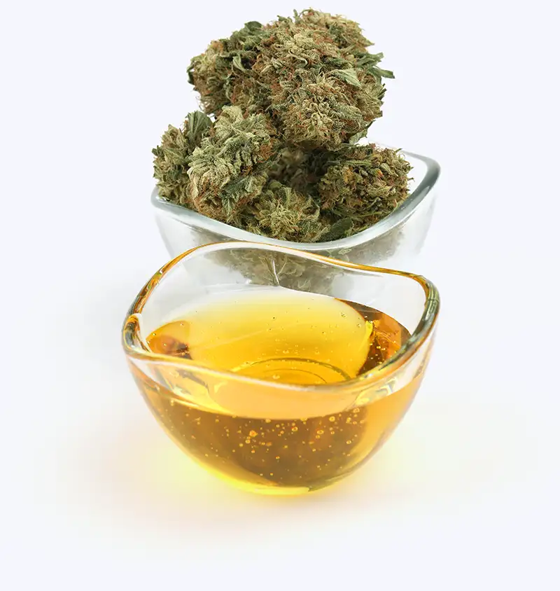 Cannabis testing flower and oil