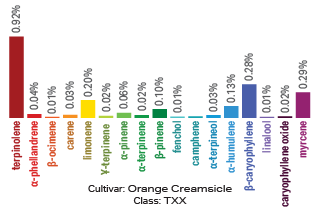 Orange Creamsicle terpene archetype