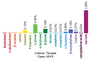 Tangie terpene archetype