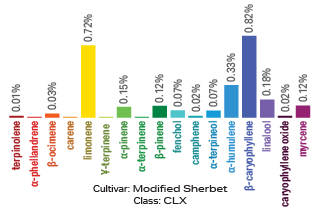 Modified Sherbet terpene archetype
