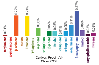 Fresh Air terpene archetype