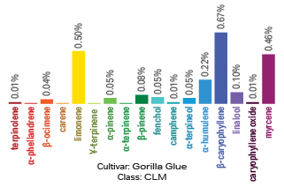 Gorilla Glue terpene archetype