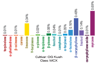 OG Kush terpene archetype