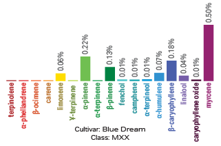 Blue Dream terpene archetype