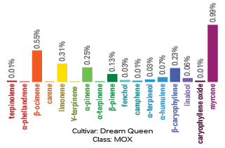 Dream Queen terpene archetype