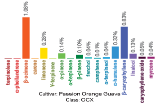 Passion Orange Guava terpene archetype