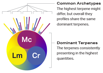 SC Labs Cannabis Classification System - Dominant Terpenes