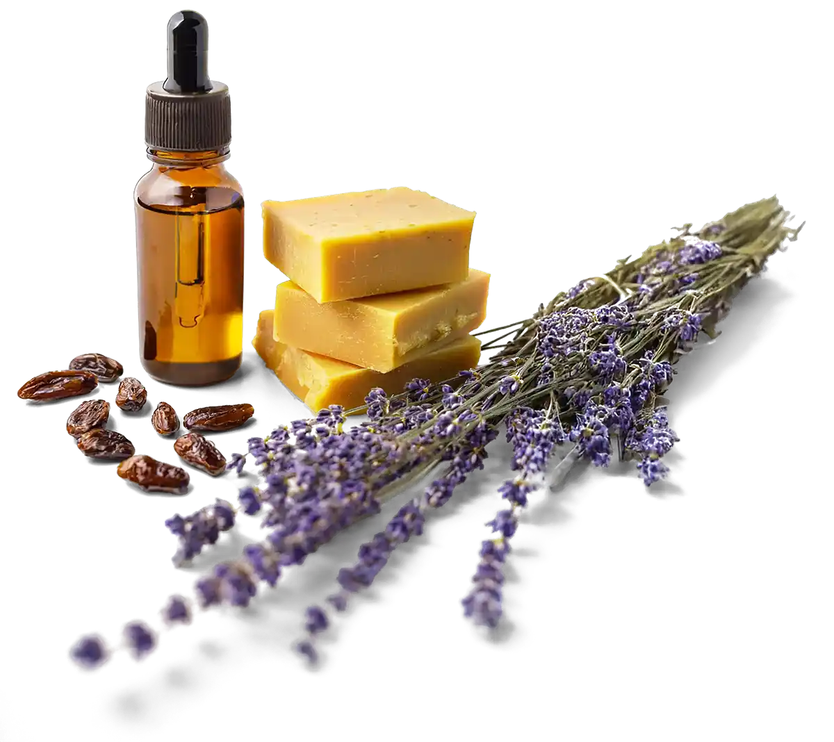 Cacao, beeswax, and essential oils—ingredients commonly used in cannabis products