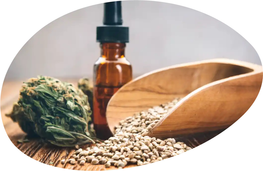 Cannabis bud, oil, and seed