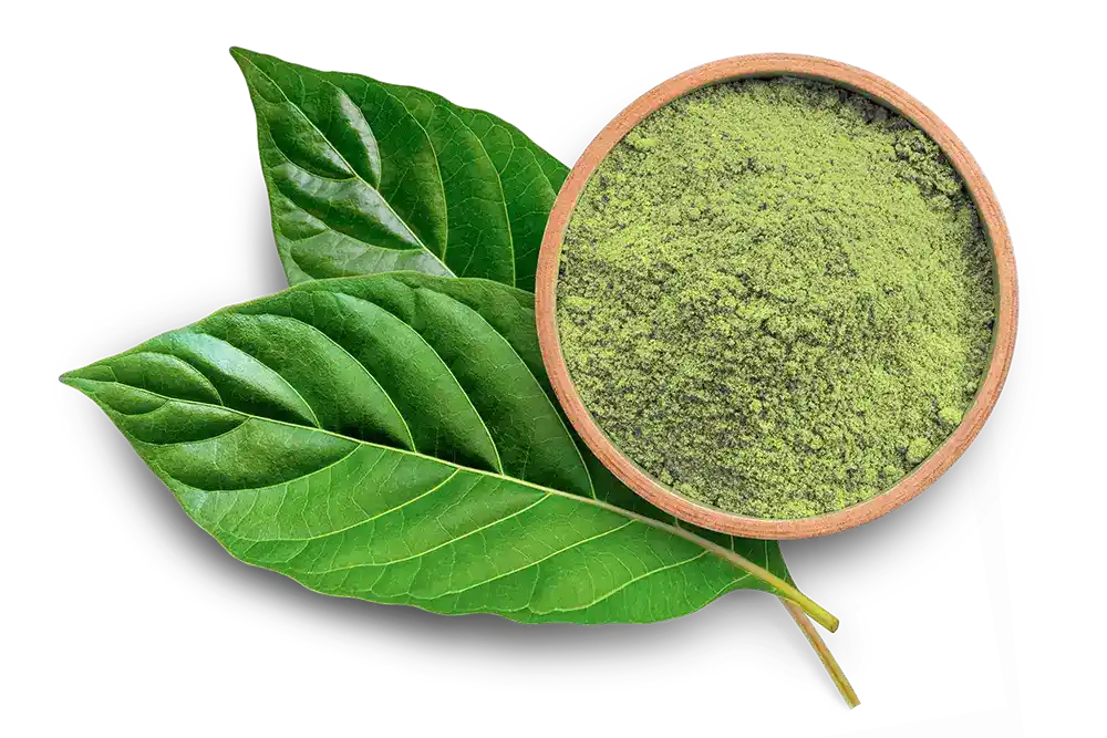 kratom leaves and powder