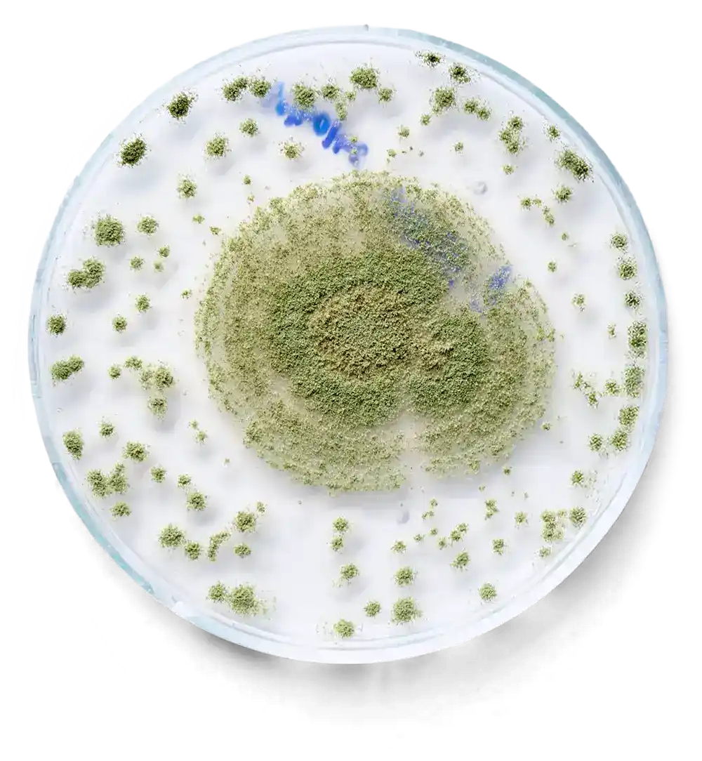 Microbiological contaminant plating